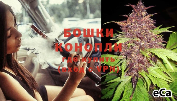 бутират Инсар