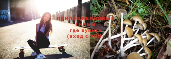 бутират Инсар