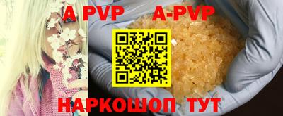 PSILOCYBIN Гатчина