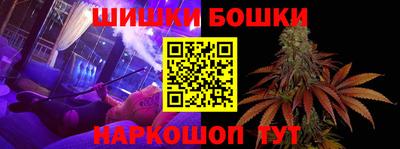 PSILOCYBIN Гатчина