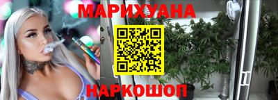 PSILOCYBIN Гатчина